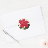 Redoute Rode Camellia Botanische Print Stickers (Envelop)