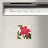 Redoute Rode Camellia Botanische Print Vierkante m Magneet (Insitu (Vaatwasser))