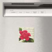 Redoute Rode Camellia Botanische Print Vierkante m Magneet (Insitu (Vaatwasser))