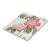 Redoute Rode Rozen Keramische Tegel Tegeltje (Zijkant)