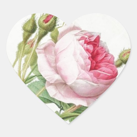 Redoute Roos Heart Shape Stickers (Voorkant)