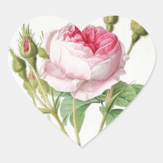 Redoute Roos Heart Shape Stickers (Voorkant)
