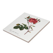 Redoute Roos Witte keramische tapijten Tegeltje (Zijkant)