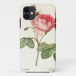 Redoute Rosa Centifolia (helder) Case-Mate iPhone Case