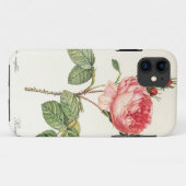 Redoute Rosa Centifolia (helder) Case-Mate iPhone Case (Achterkant (horizontaal))