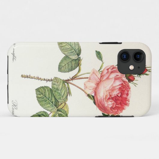 Redoute Rosa Centifolia (helder) Case-Mate iPhone Case (Achterkant (horizontaal))
