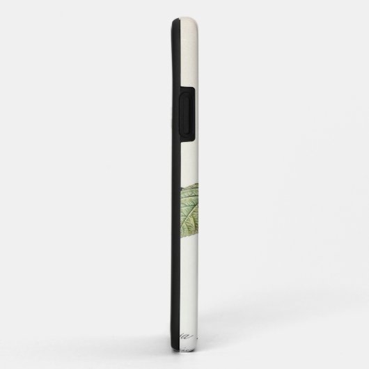 Redoute Rosa Centifolia (helder) Case-Mate iPhone Case (Achterkant/rechts)