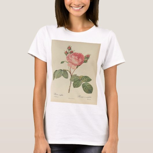 Redoute Rosa Centifolia T-shirt voor dames (Voorkant)