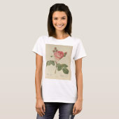 Redoute Rosa Centifolia T-shirt voor dames (Voorkant volledig)