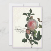 Redoute roze roos, lavendel bloemig Vrijgezellenfe Kaart (Achterkant)