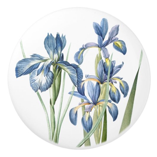 Redoutes Iris Flowers Floral Botanical Keramische Knop (Voorkant)