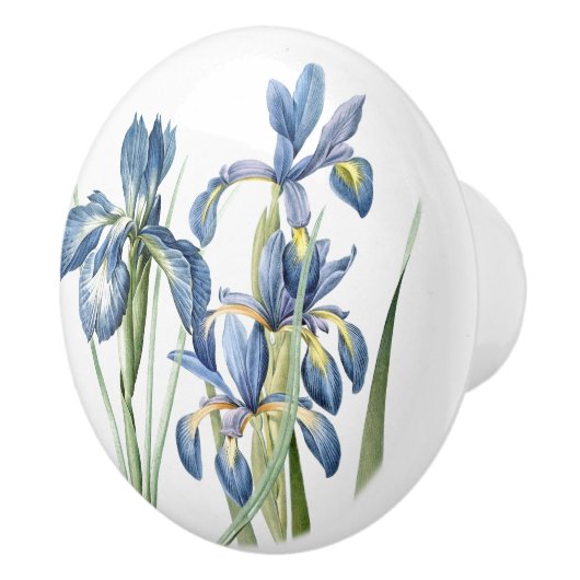 Redoutes Iris Flowers Floral Botanical Keramische Knop (Rechts)