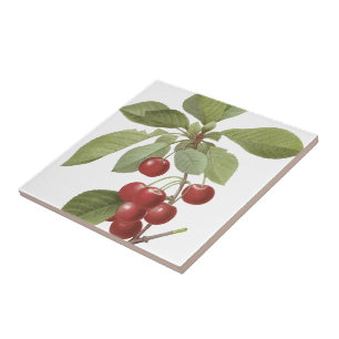 Redoutés' Royal Cherry Tegeltje