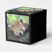 RedPanda20150705.jpg Bedankdoosjes (Voorkant Zijde)
