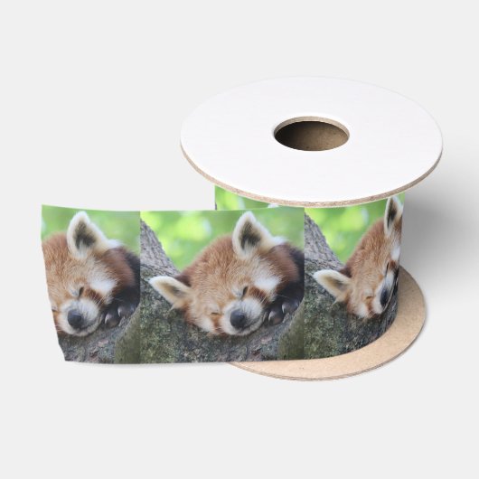 RedPanda20150705.jpg Satijnen Lint (Spoel)