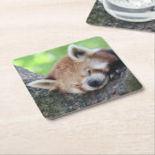 RedPanda20150705 Kartonnen Onderzetters (Schuin)