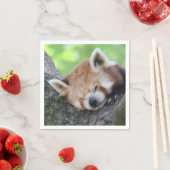 RedPanda20150705 Servet (Insitu)