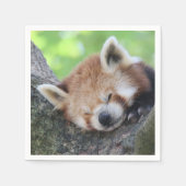 RedPanda20150705 Servet (Voorkant)