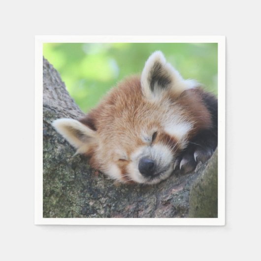 RedPanda20150705 Servet (Voorkant)