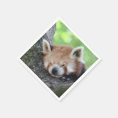 RedPanda20150705 Servet (Hoek)