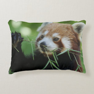 RedPanda 002 Accent Kussen