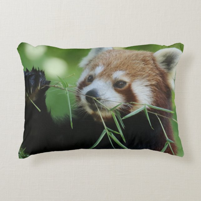 RedPanda 002 Accent Kussen (Voorkant)