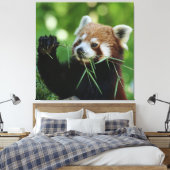 RedPanda 002 Canvas Afdruk (Insitu (Slaapkamer))