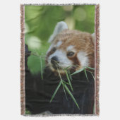 RedPanda 002 Deken (Voorkant Verticaal)