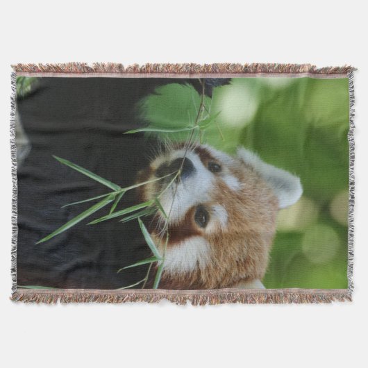 RedPanda 002 Deken (Voorkant)