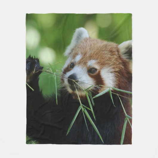 RedPanda 002 Fleece Deken (Voorkant)