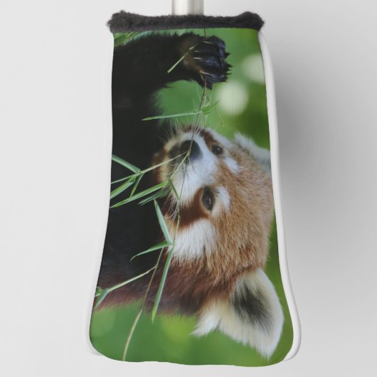 RedPanda 002 Golfheadcover (Draai 90)
