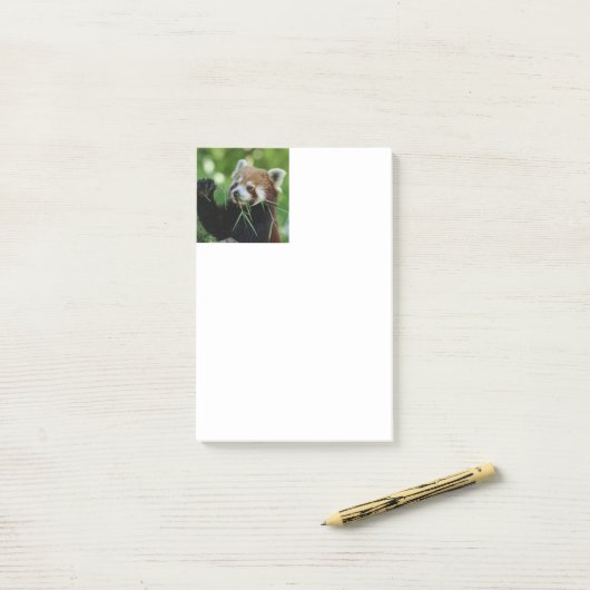 RedPanda 002 Post-it® Notes (Op bureau)