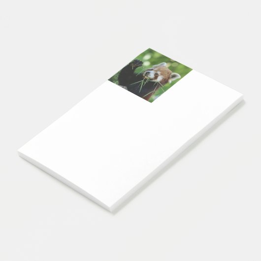 RedPanda 002 Post-it® Notes (Schuin)