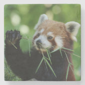 RedPanda 002 Stenen Onderzetter (Voorkant)