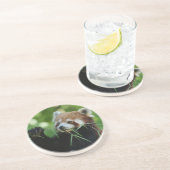 RedPanda 002 Zandsteen Onderzetter (Zijkant)