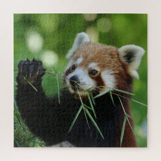 RedPanda 2020-03-01 Legpuzzel (Verticaal)