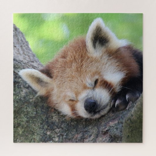 RedPanda 2020-03-02 Legpuzzel (Verticaal)