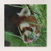 RedPanda 2020-03-03 Legpuzzel (Horizontaal)