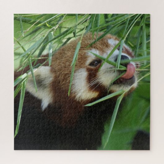 RedPanda 2020-03-03 Legpuzzel (Verticaal)