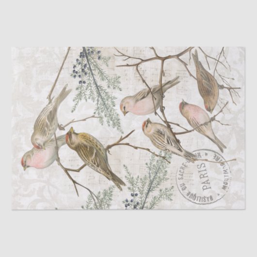 Redpoll Vogeltak Natuur Decoupage Parijse Vintage Tissuepapier (Voorkant)