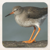 Redshank | Tringa Totanus Kartonnen Onderzetters (Voorkant)
