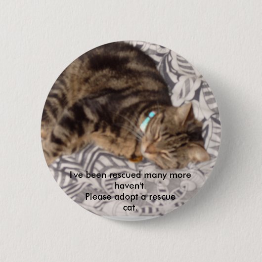 redt u alstublieft een kat ronde button 5,7 cm (Voorkant)