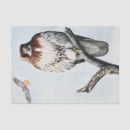  Redtail Hawk waterverf Tissuepapier
