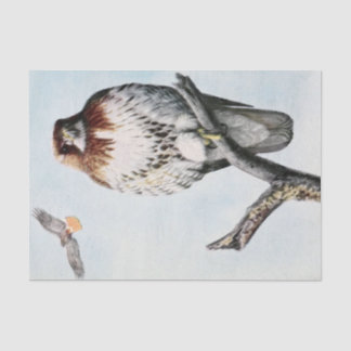  Redtail Hawk waterverf Tissuepapier