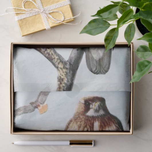  Redtail Hawk waterverf Tissuepapier (Geschenk)