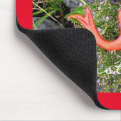 redtail sirena mermaid muismat (Hoek)