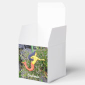 redtail sirena mermaids bedankdoosjes (Geopend)