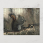 Redtail Squirrel 01 Briefkaart (Voorkant)