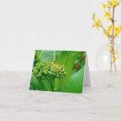 Reduviid Assassin Bug Note Kaart (Gele Bloem)