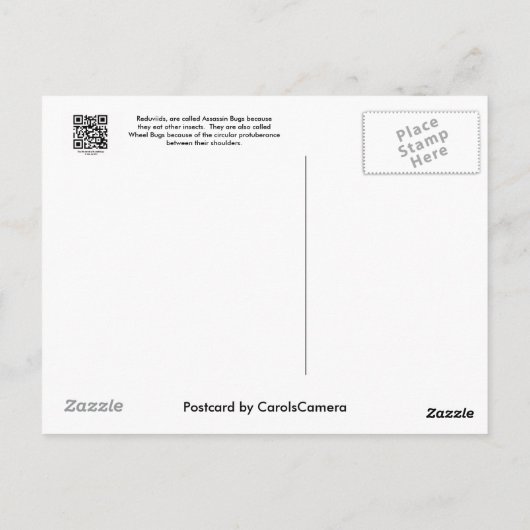 Reduviid Bug op Briefkaart van Milkweed (Achterkant)